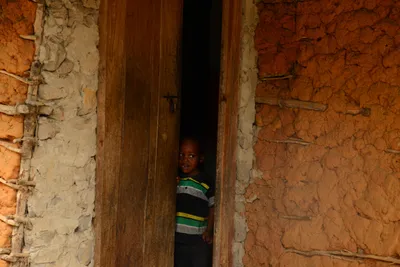 DSC_9337 (Large).JPG